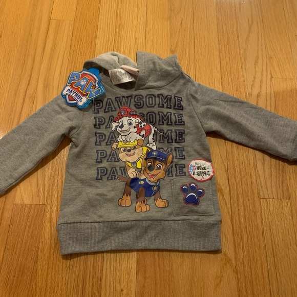 Other - Paw patrol sweat shirt